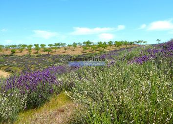 Thumbnail Land for sale in 7, 8Ha For Construction Of Country House And Plantations, Portugal