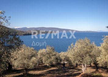 Thumbnail Property for sale in Marathias, Magnesia, Greece