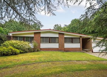 Thumbnail 4 bed bungalow for sale in Dock Lane, Beaulieu, Hampshire