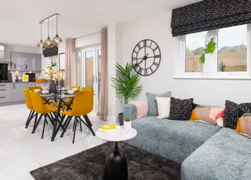 Showhome Photography
