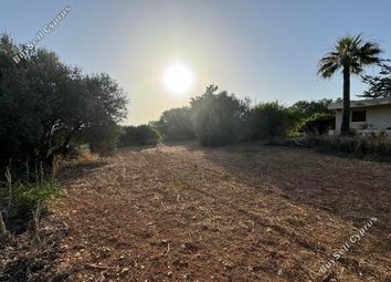 Thumbnail Land for sale in Kissonerga, Paphos, Cyprus