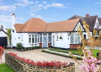 Thumbnail Detached bungalow for sale in Oak Road, Rochford