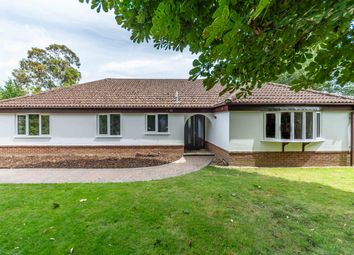 Thumbnail Detached bungalow for sale in Downview Road, Barnham