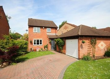 Thumbnail Detached house to rent in Wood Close, York