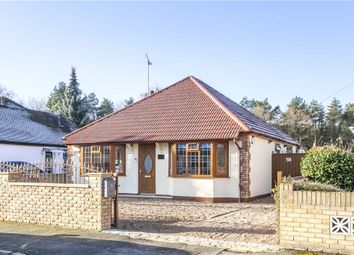 Common Lane, New Haw, Addlestone, Surrey KT15, south east england property