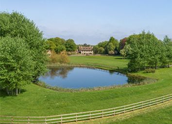 The Lake