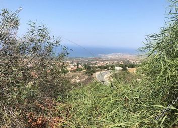 Thumbnail Land for sale in Tala, Paphos, Cyprus