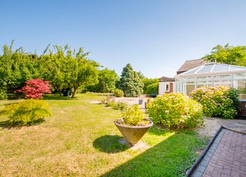 3 Bedrooms Detached bungalow to rent in Town Street, Treswell, Retford DN22