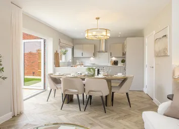 Dandara - Zoopla -
