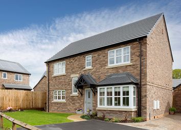 Thumbnail Detached house for sale in "Wilson" at Beaumont Hill, Darlington