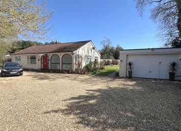 The Property