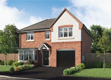 Thumbnail 4 bedroom detached house for sale in "Maplewood" at Bircotes, Doncaster