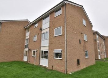 Find 1 Bedroom Properties To Rent In Chelmsford Zoopla