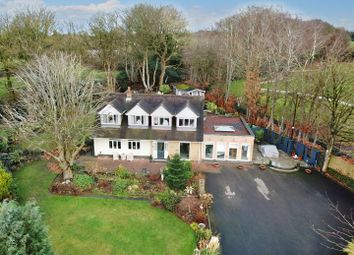 Thumbnail Detached house for sale in The Hollow, Caverswall, Stoke-On-Trent