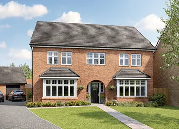 Oak Plot 19 CGI