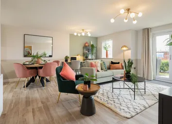 Showhome Photography