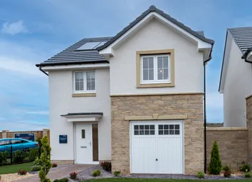 Showhome Photography