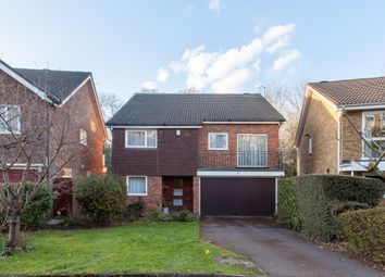 5 Bedroom Detached house for rent