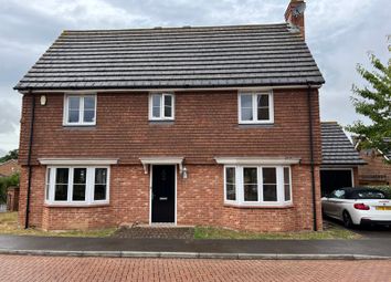 Thumbnail Detached house to rent in Beech Court Gardens, Maidstone