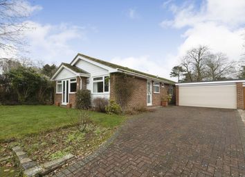 The Butts, Silchester, Reading, Hampshire RG7, berkshire property