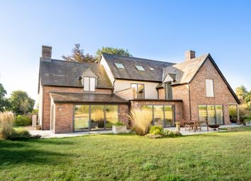 Thumbnail Detached house for sale in Noade Street, Ashmore, Salisbury