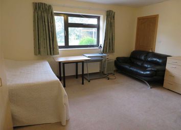 0 Bedroom Studio for rent