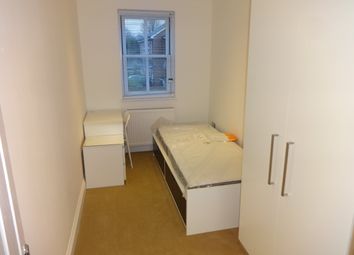 6 Bedroom  for rent