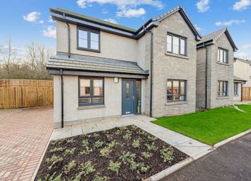 Thumbnail Detached house for sale in Orchid Park, Plean, Stirling