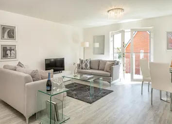 Kitchen/Lounge/Dining