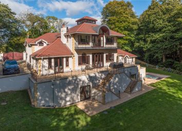 Rear Elevation