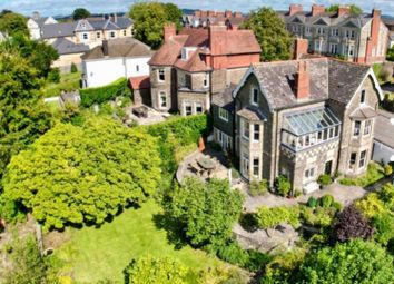 Img_7962_Fa8A-Cdfd-6c4A-Af36-9E2d-9107-84A4-B060_2