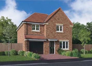 Thumbnail 4 bedroom detached house for sale in "The Tollwood" at Elm Avenue, Pelton, Chester Le Street