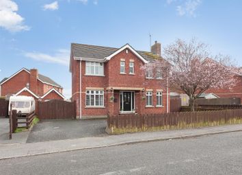 Ballynahinch - Detached house for sale