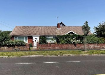 Thumbnail 4 bed bungalow to rent in Green Road, Fareham