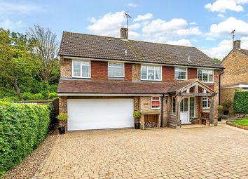 Thumbnail Detached house for sale in Beech Close, Chiddingfold