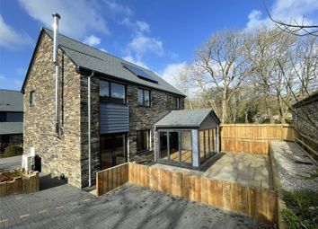 Thumbnail Detached house for sale in Poughill, Bude, Cornwall