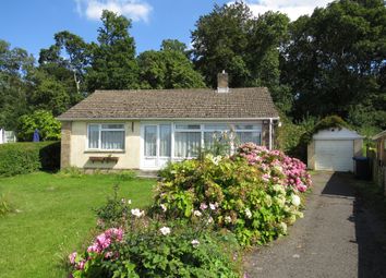 Thumbnail 2 bed detached bungalow for sale in Pine View Close, Woodfalls, Salisbury