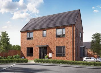 Thumbnail 3 bedroom detached house for sale in "The Aynesdale - Plot 52" at Cold Hesledon, Seaham