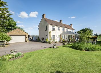 Thumbnail Detached house for sale in Dover Street, Stour Row, Shaftesbury, Dorset