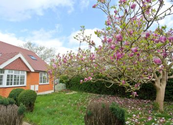 Thumbnail Bungalow for sale in Kingsway, Stanwell, Staines-Upon-Thames