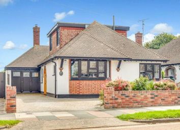 Thumbnail Detached house to rent in Samuels Drive, Thorpe Bay