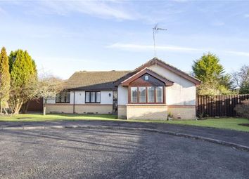 4 Bedroom Detached bungalow for sale