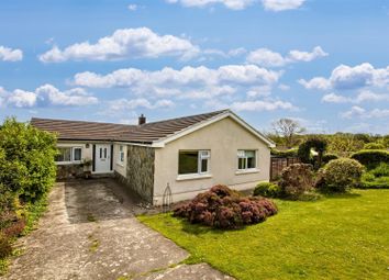 Property listing in Cardigan, Ceredigion