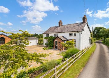 Smith Lane Farm-19.Jpg