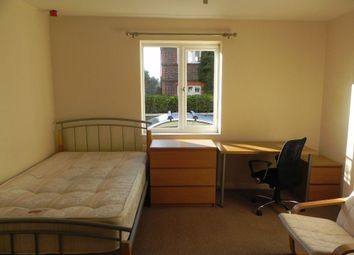 0 Bedroom Studio for rent