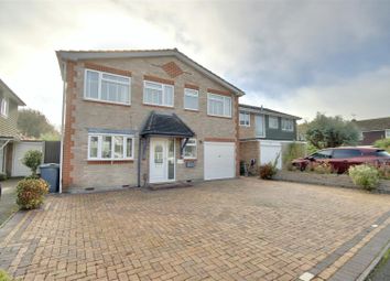 Thumbnail 4 bed detached house to rent in Staple Close, Waterlooville