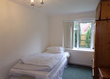 0 Bedroom  for rent