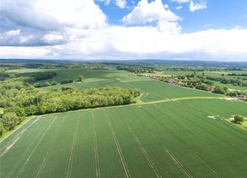 Thumbnail Land for sale in Hay Place Lane, Binsted, Alton, Hampshire