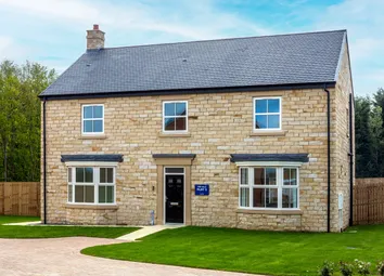Plot 5 External