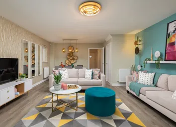 Showhome Photography
